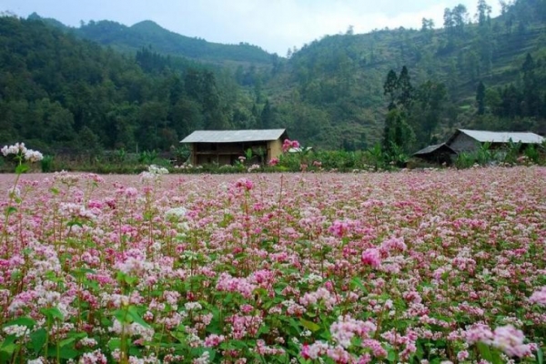 Hà Nội - Hà Giang - Yên Minh - Lũng Cú - Đồng Văn 3 Ngày 2 Đêm