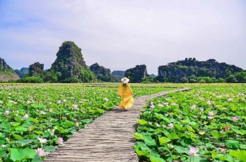 Hà Nội - Ninh Bình - Tam Cốc - Hoa Lư 1 Ngày